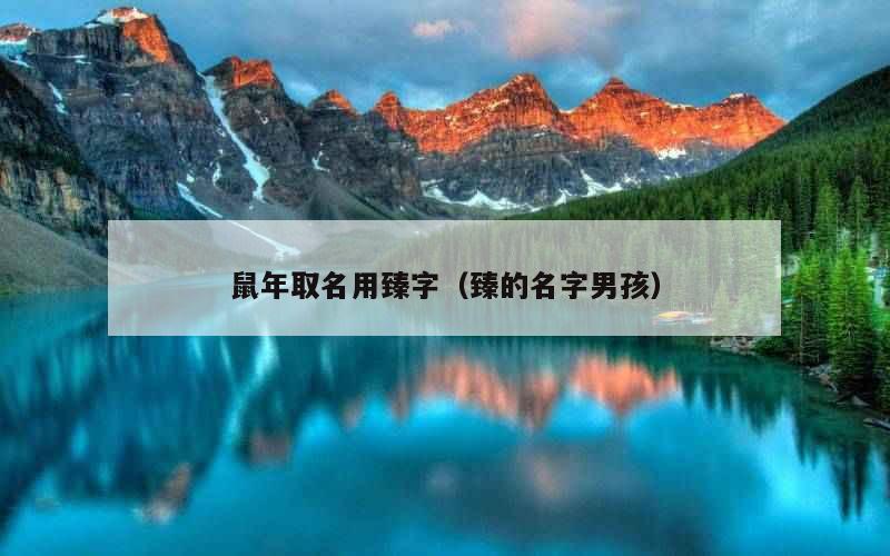 鼠年取名用臻字（臻的名字男孩）
