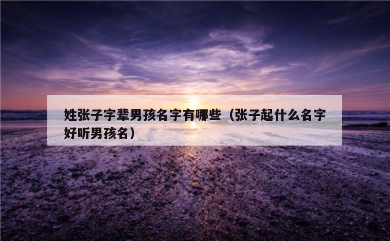 姓张子字辈男孩名字有哪些（张子起什么名字好听男孩名）