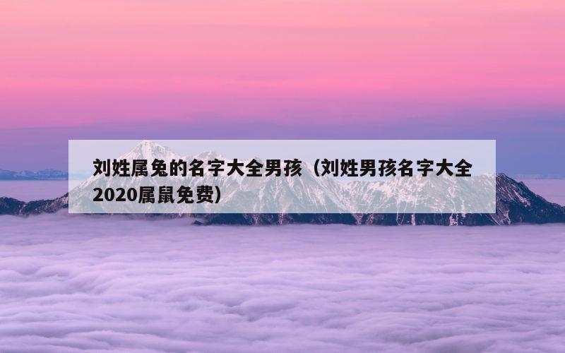 刘姓属兔的名字大全男孩（刘姓男孩名字大全2020属鼠免费）