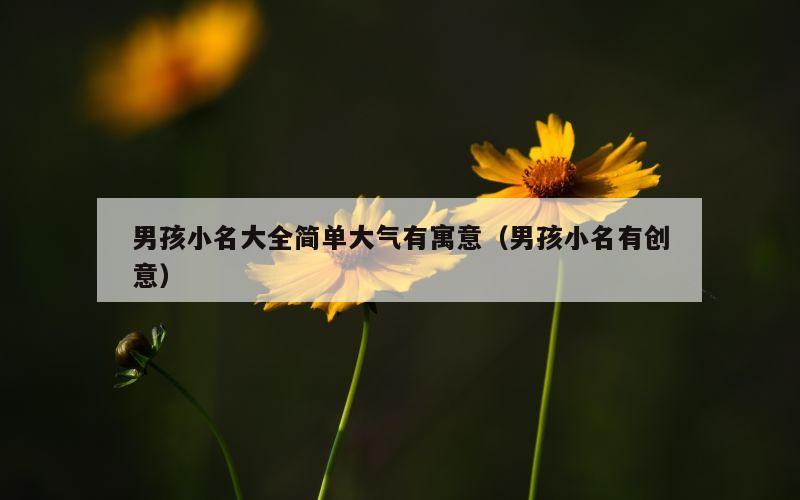 男孩小名大全简单大气有寓意（男孩小名有创意）