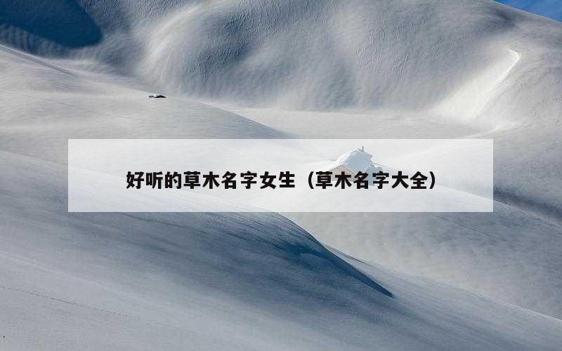 好听的草木名字女生（草木名字大全）