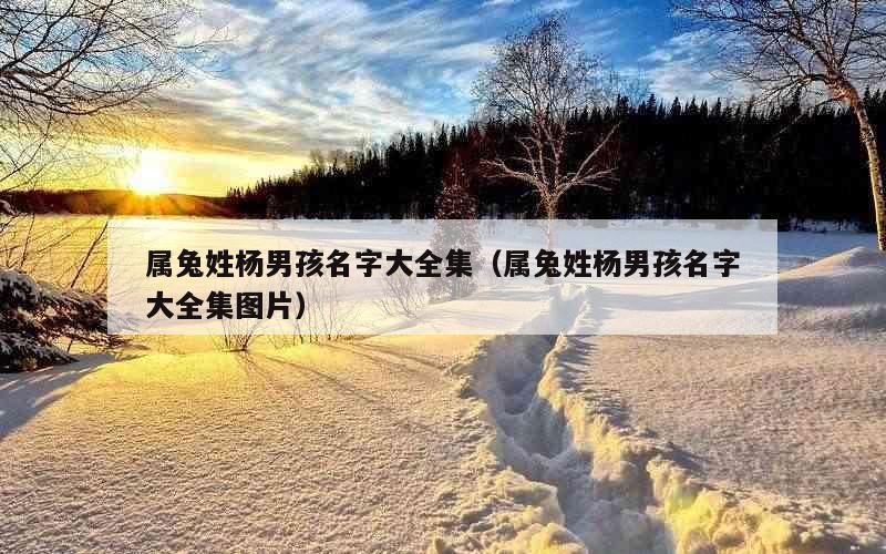 属兔姓杨男孩名字大全集（属兔姓杨男孩名字大全集图片）