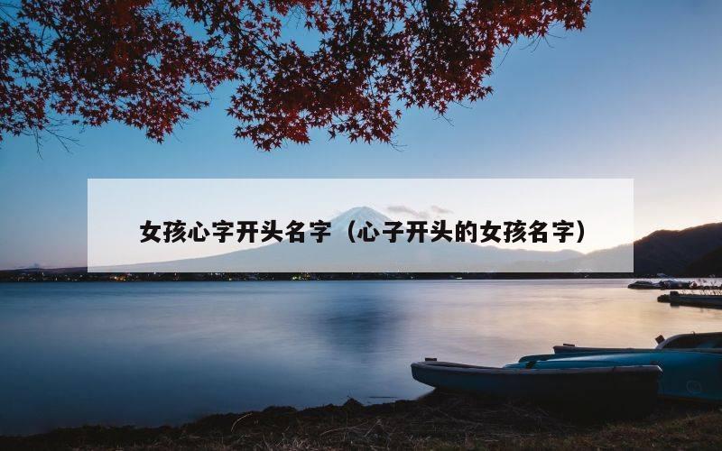 女孩心字开头名字（心子开头的女孩名字）