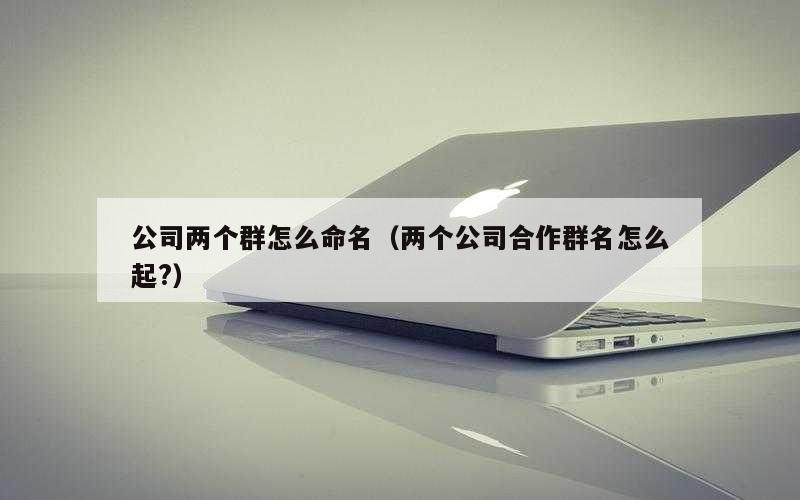 公司两个群怎么命名（两个公司合作群名怎么起?）