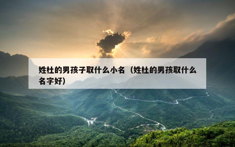 姓杜的男孩子取什么小名（姓杜的男孩取什么名字好）