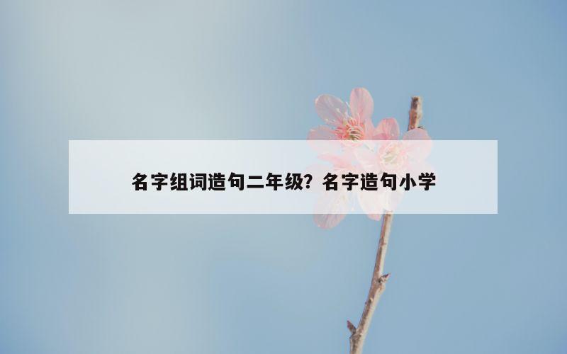 名字组词造句二年级？名字造句小学