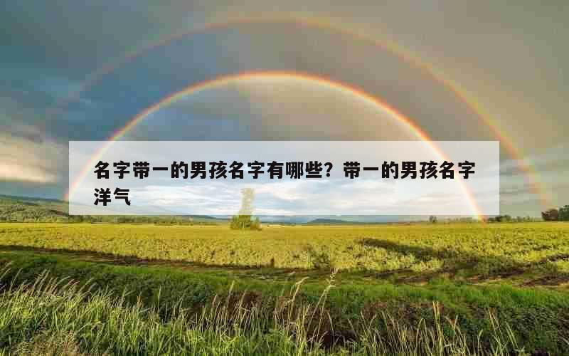 名字带一的男孩名字有哪些？带一的男孩名字洋气