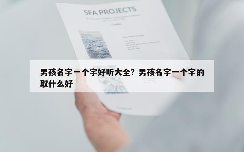 男孩名字一个字好听大全？男孩名字一个字的取什么好