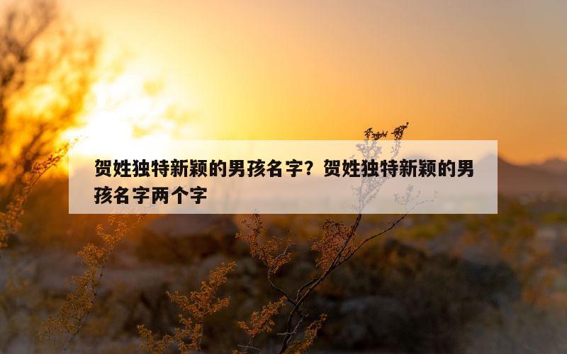 贺姓独特新颖的男孩名字？贺姓独特新颖的男孩名字两个字