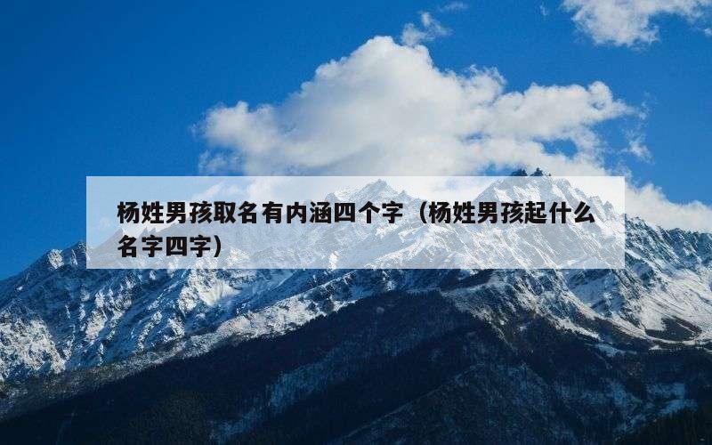 杨姓男孩取名有内涵四个字（杨姓男孩起什么名字四字）