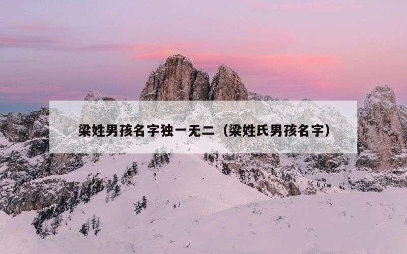 梁姓男孩名字独一无二（梁姓氏男孩名字）