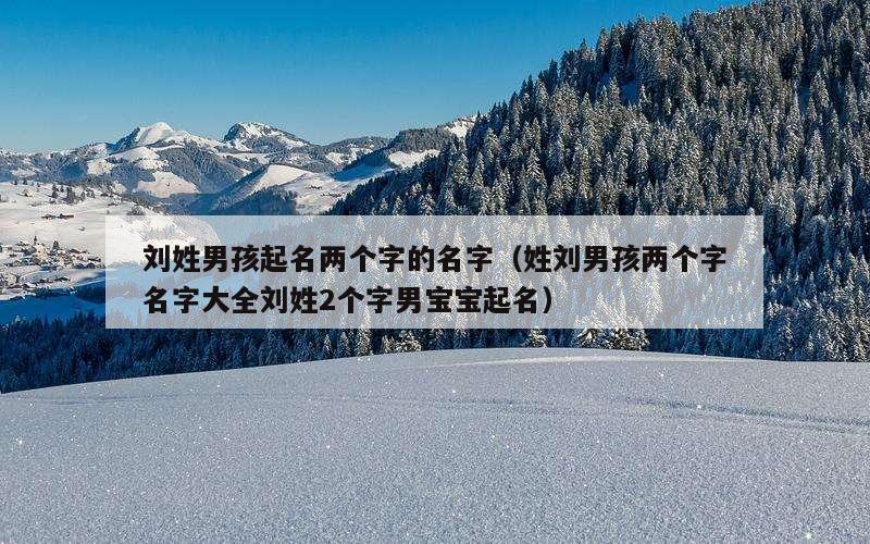 刘姓男孩起名两个字的名字（姓刘男孩两个字名字大全刘姓2个字男宝宝起名）
