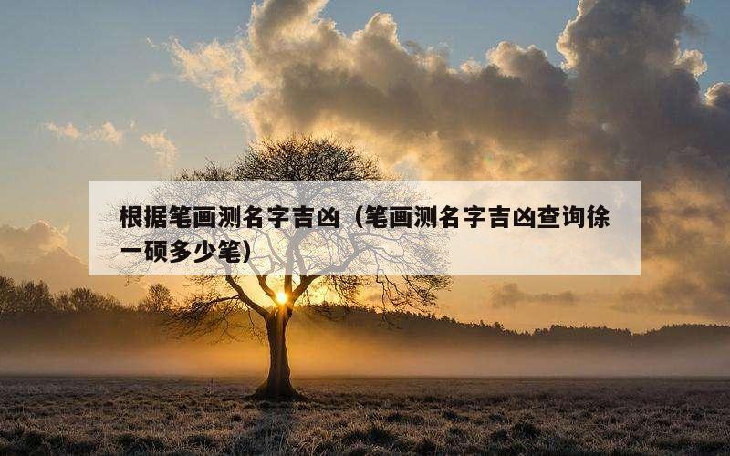 根据笔画测名字吉凶（笔画测名字吉凶查询徐一硕多少笔）