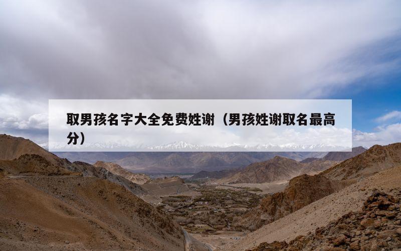 取男孩名字大全免费姓谢（男孩姓谢取名最高分）