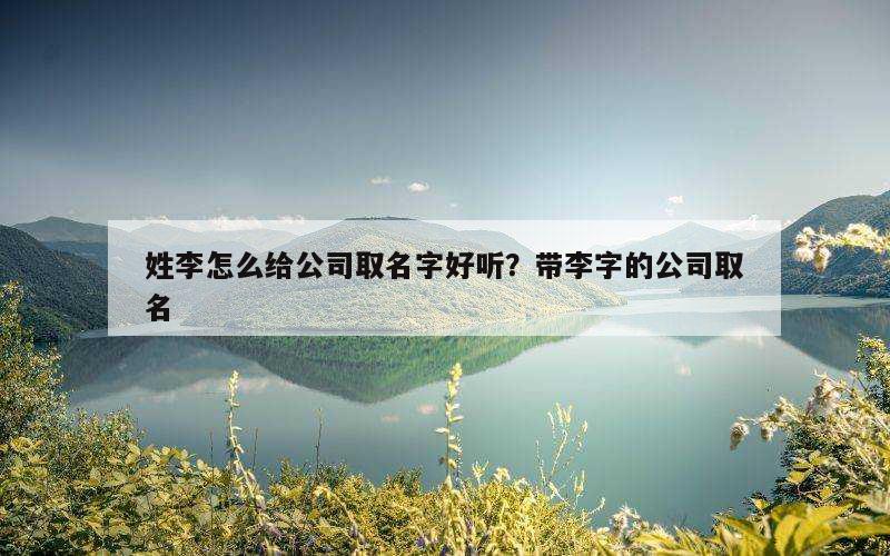 姓李怎么给公司取名字好听？带李字的公司取名