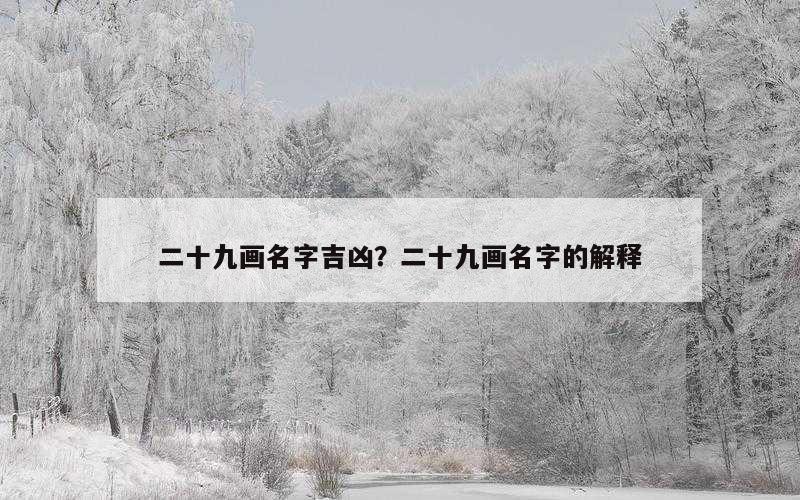二十九画名字吉凶？二十九画名字的解释