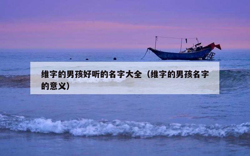 维字的男孩好听的名字大全（维字的男孩名字的意义）