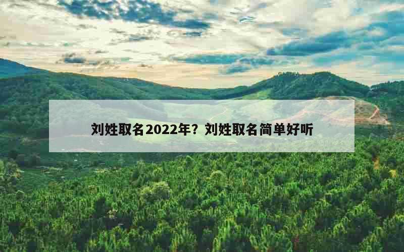 刘姓取名2022年？刘姓取名简单好听