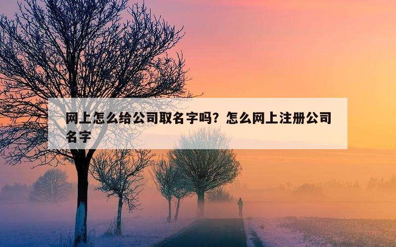网上怎么给公司取名字吗？怎么网上注册公司名字