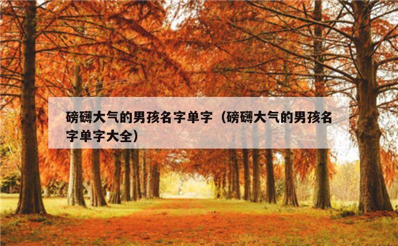 磅礴大气的男孩名字单字（磅礴大气的男孩名字单字大全）