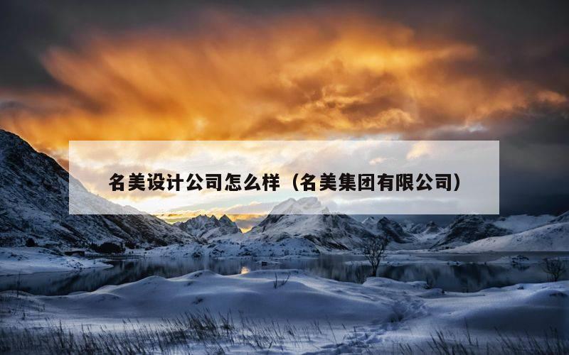 名美设计公司怎么样（名美集团有限公司）