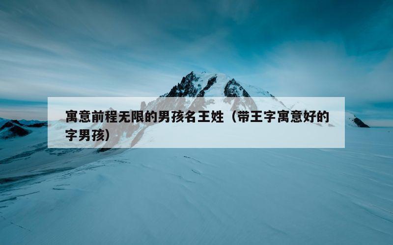 寓意前程无限的男孩名王姓（带王字寓意好的字男孩）