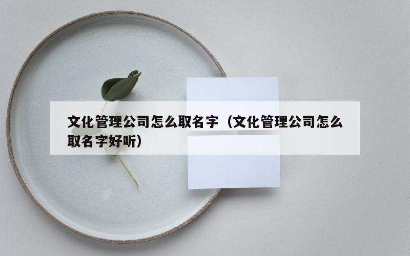 文化管理公司怎么取名字（文化管理公司怎么取名字好听）