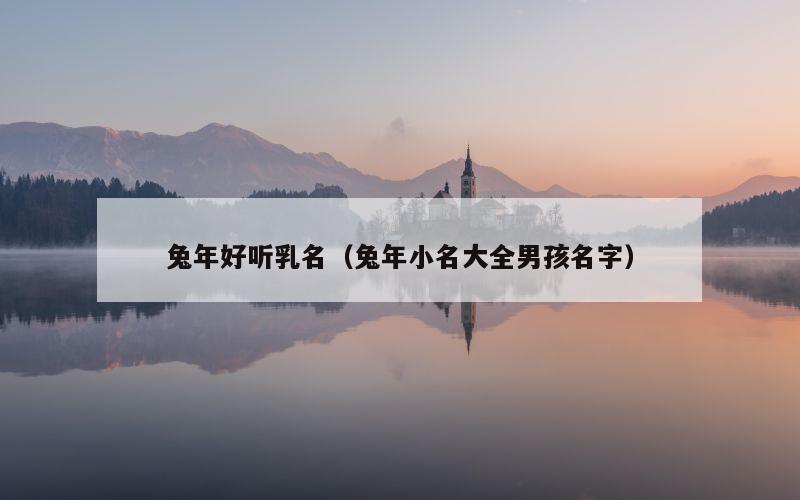 兔年好听乳名（兔年小名大全男孩名字）