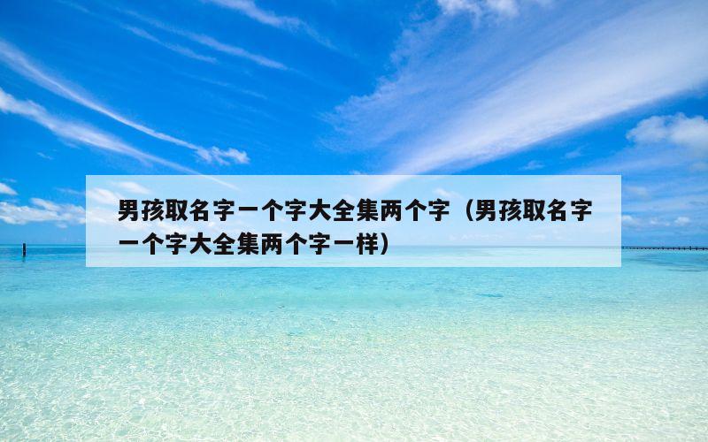男孩取名字一个字大全集两个字（男孩取名字一个字大全集两个字一样）