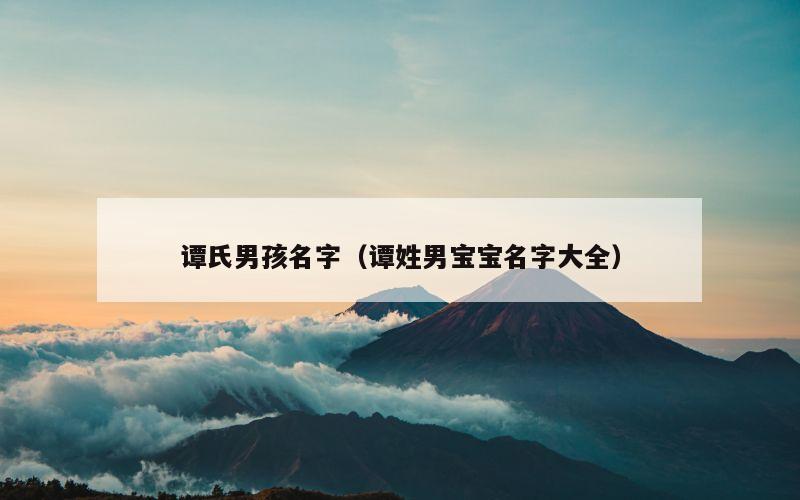 谭氏男孩名字（谭姓男宝宝名字大全）