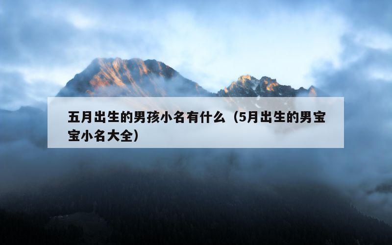 五月出生的男孩小名有什么（5月出生的男宝宝小名大全）
