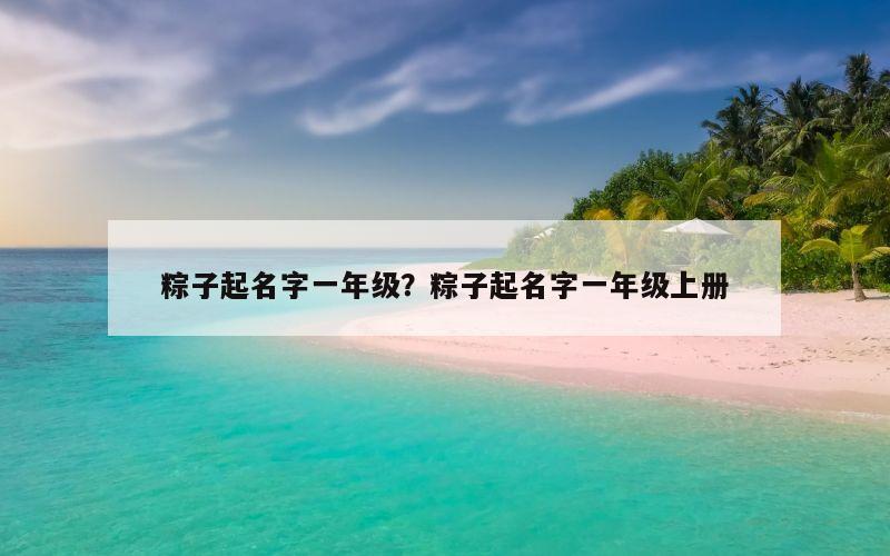 粽子起名字一年级？粽子起名字一年级上册