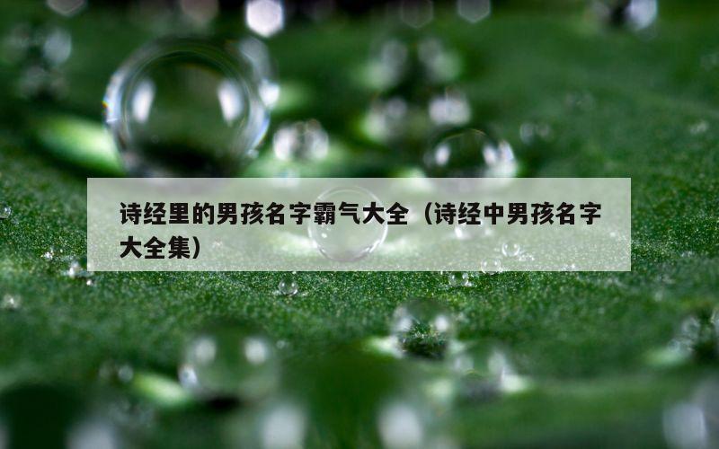 诗经里的男孩名字霸气大全（诗经中男孩名字大全集）