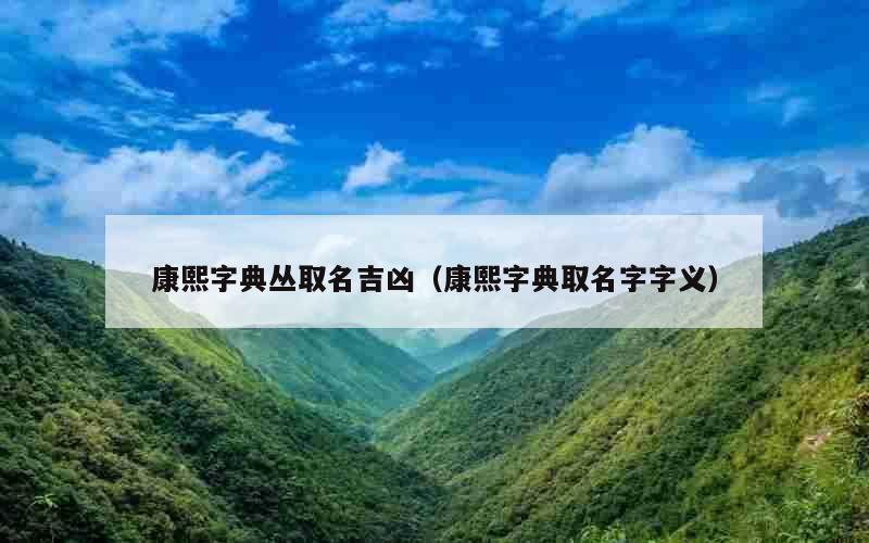 康熙字典丛取名吉凶（康熙字典取名字字义）