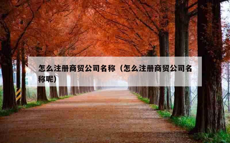 怎么注册商贸公司名称（怎么注册商贸公司名称呢）