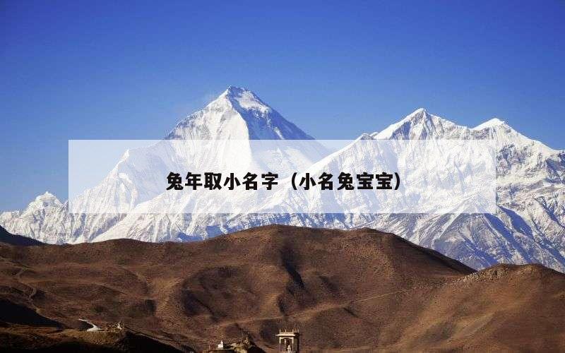 兔年取小名字（小名兔宝宝）