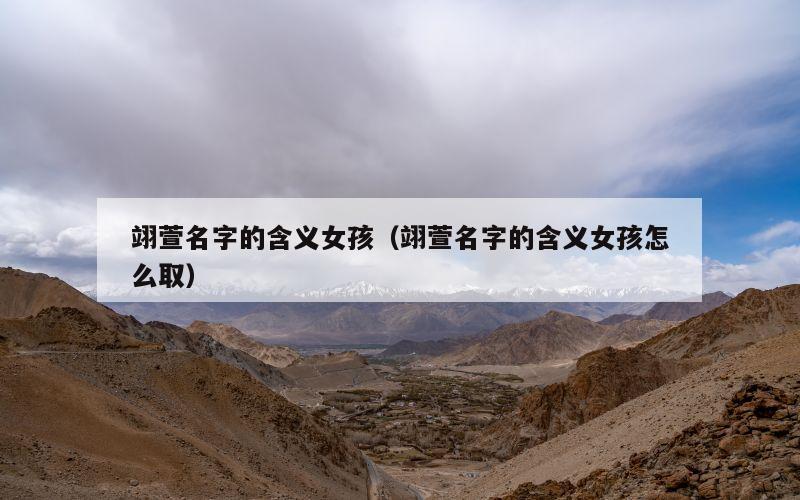 翊萱名字的含义女孩（翊萱名字的含义女孩怎么取）