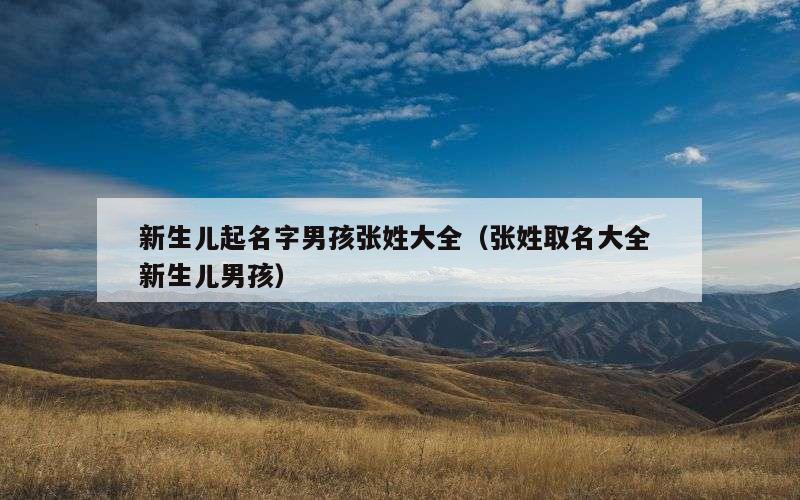 新生儿起名字男孩张姓大全（张姓取名大全 新生儿男孩）