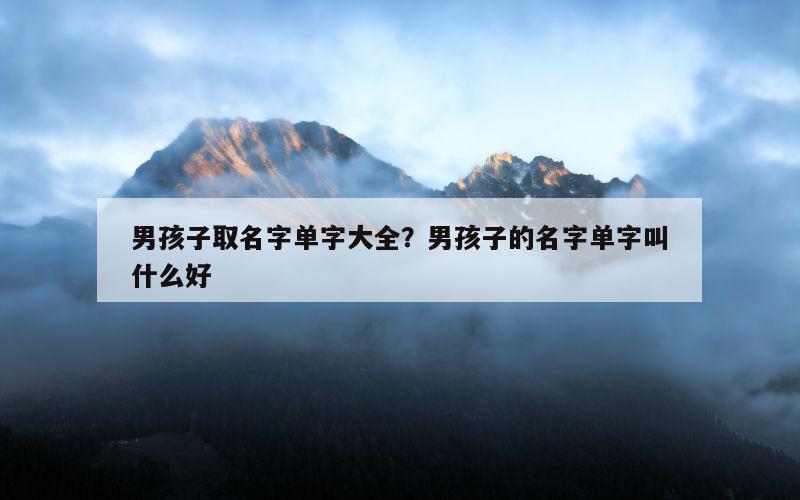 男孩子取名字单字大全？男孩子的名字单字叫什么好