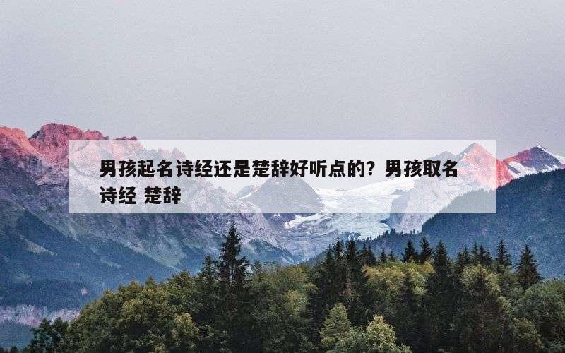男孩起名诗经还是楚辞好听点的？男孩取名 诗经 楚辞
