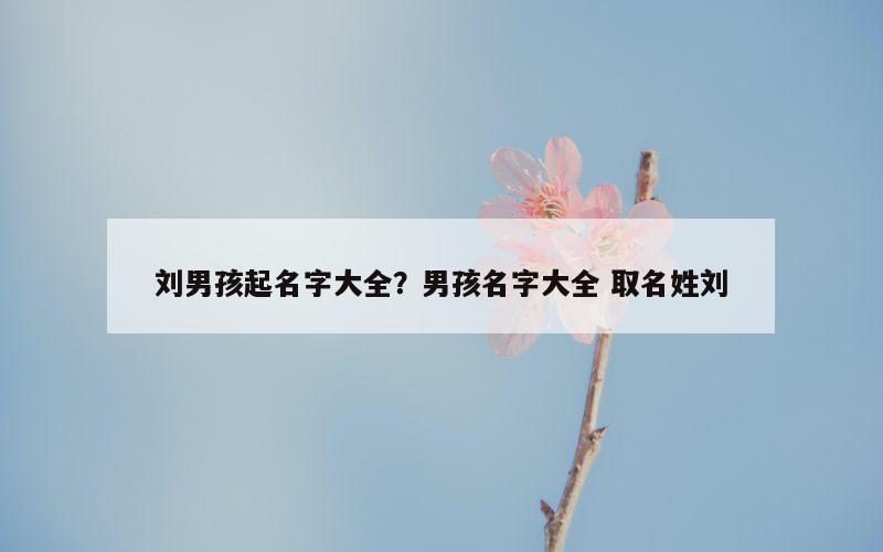 刘男孩起名字大全？男孩名字大全 取名姓刘
