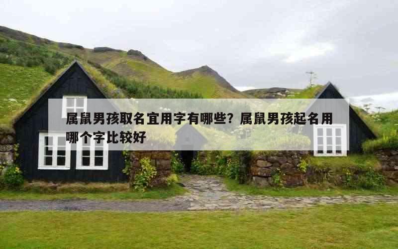 属鼠男孩取名宜用字有哪些？属鼠男孩起名用哪个字比较好