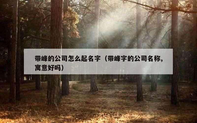 带峰的公司怎么起名字（带峰字的公司名称,寓意好吗）