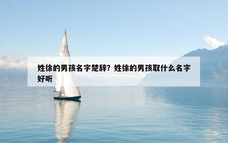 姓徐的男孩名字楚辞？姓徐的男孩取什么名字好听