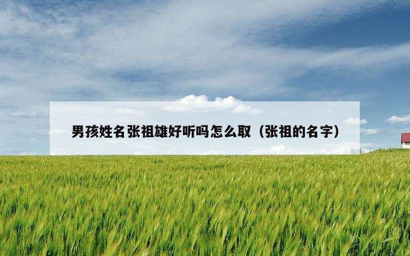 男孩姓名张祖雄好听吗怎么取（张祖的名字）