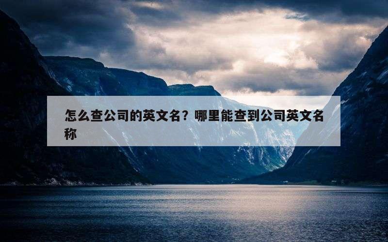 怎么查公司的英文名？哪里能查到公司英文名称
