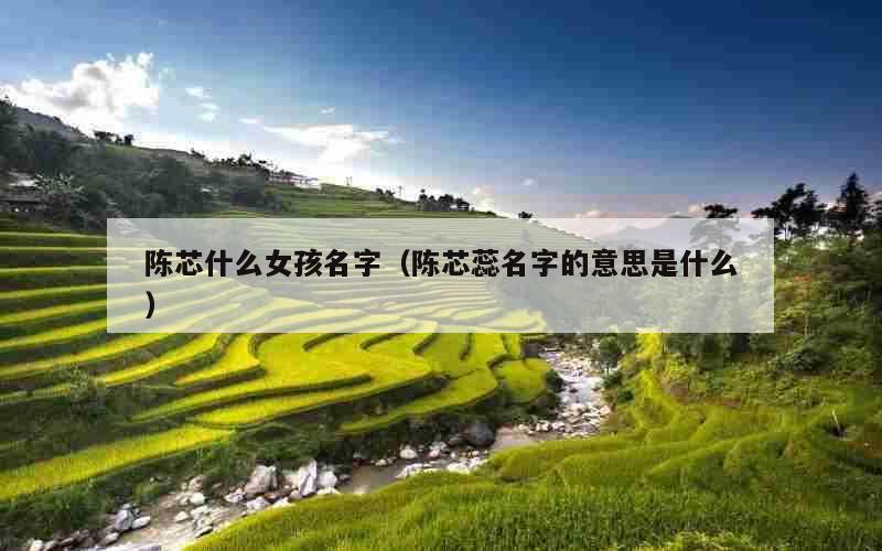 陈芯什么女孩名字（陈芯蕊名字的意思是什么）