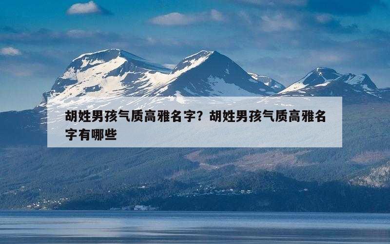 胡姓男孩气质高雅名字？胡姓男孩气质高雅名字有哪些
