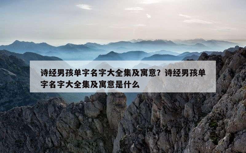 诗经男孩单字名字大全集及寓意？诗经男孩单字名字大全集及寓意是什么