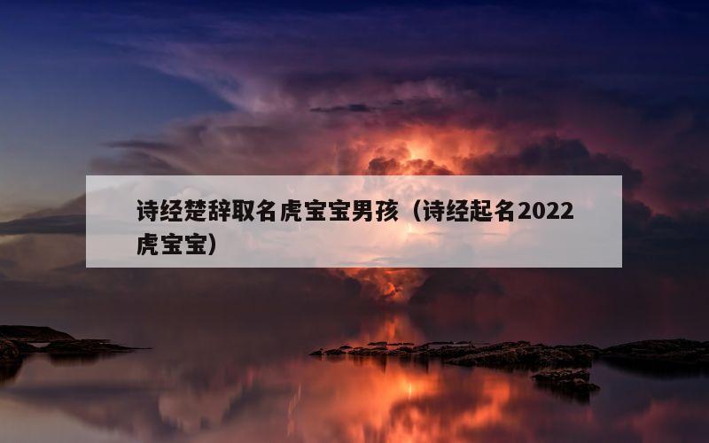 诗经楚辞取名虎宝宝男孩（诗经起名2022虎宝宝）